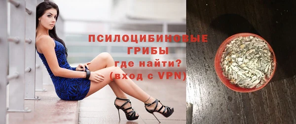 молекула духа Богородск