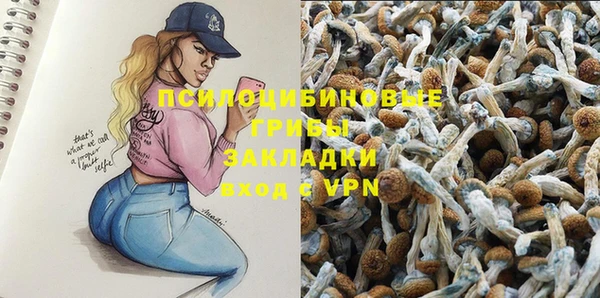 бошки Богородицк