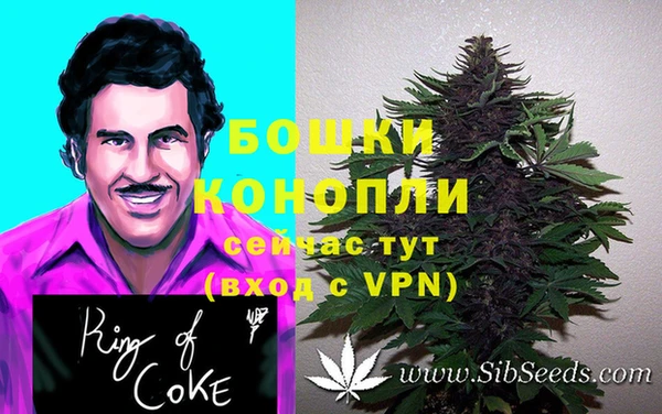 кокаин Новозыбков