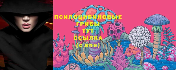 твердый Белокуриха